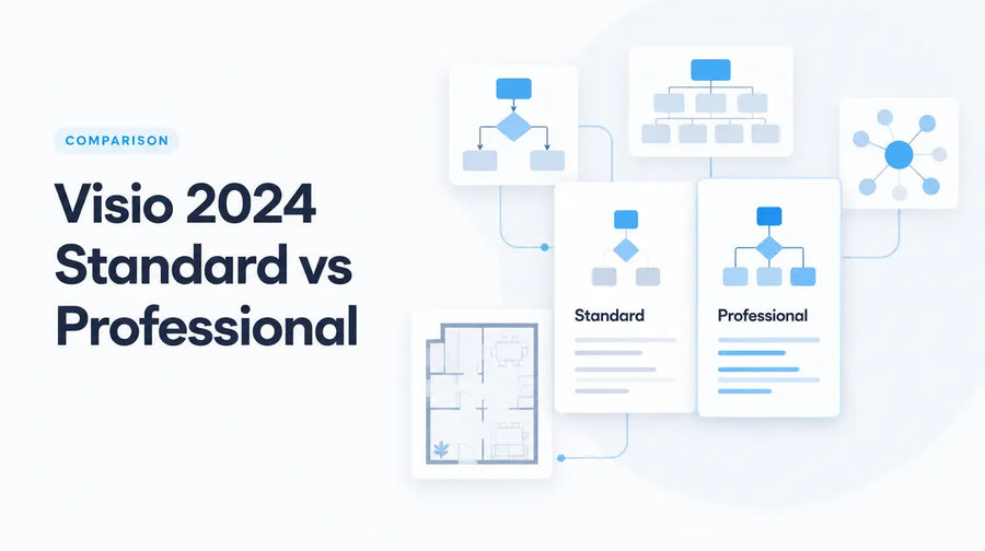 Microsoft Visio 2024 Standard vs Professional comparison guide